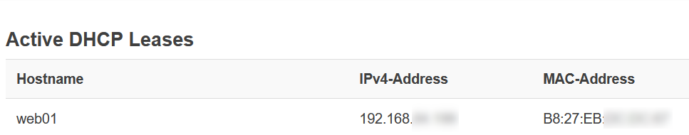 Raspberry Pi DHCP lease